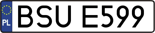 BSUE599