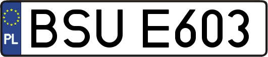BSUE603