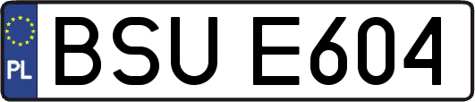 BSUE604
