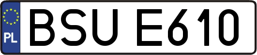 BSUE610