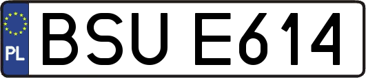 BSUE614