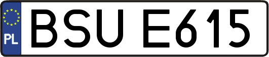 BSUE615