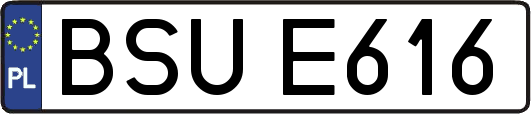 BSUE616