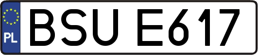 BSUE617