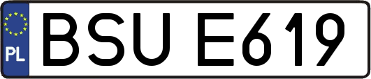 BSUE619