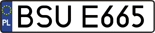 BSUE665