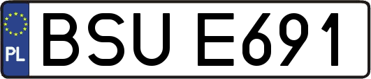 BSUE691