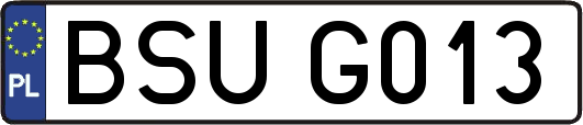 BSUG013