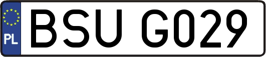 BSUG029