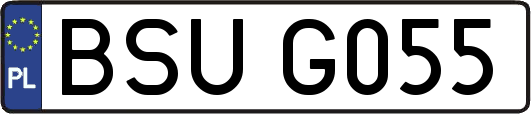 BSUG055