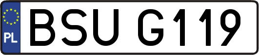 BSUG119