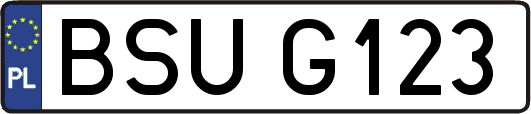 BSUG123