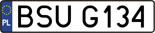BSUG134