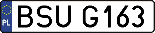 BSUG163