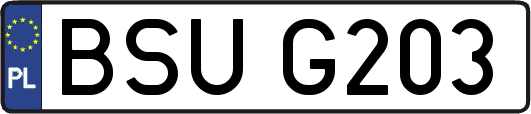 BSUG203