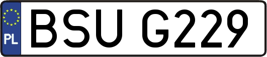 BSUG229