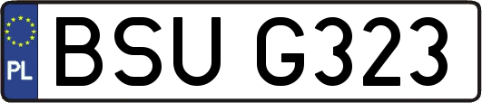 BSUG323