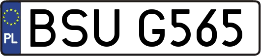 BSUG565