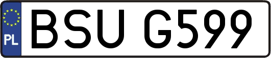 BSUG599