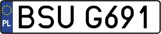 BSUG691
