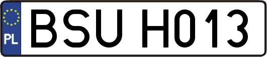 BSUH013