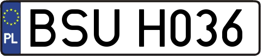 BSUH036