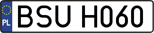 BSUH060