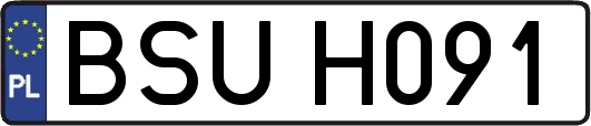 BSUH091