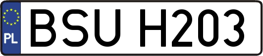 BSUH203