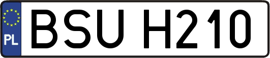 BSUH210