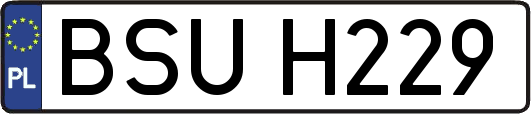 BSUH229