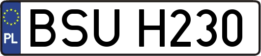 BSUH230