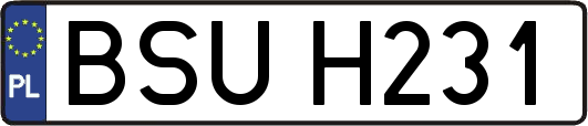BSUH231