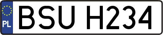 BSUH234