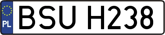 BSUH238
