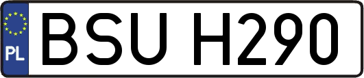 BSUH290