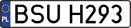 BSUH293