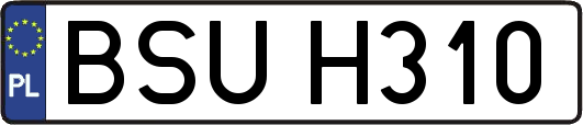 BSUH310