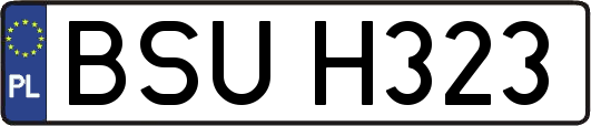 BSUH323