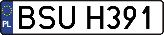 BSUH391