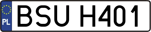 BSUH401