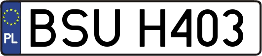 BSUH403