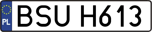 BSUH613