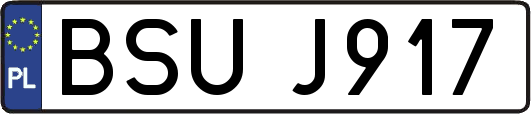 BSUJ917
