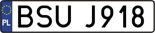 BSUJ918