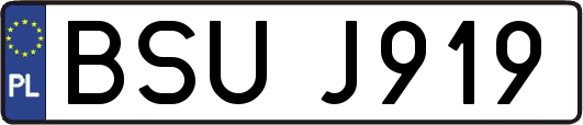 BSUJ919