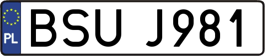 BSUJ981
