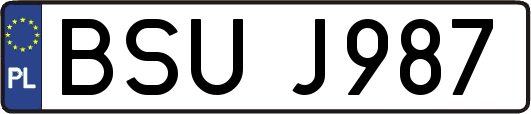 BSUJ987
