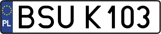 BSUK103