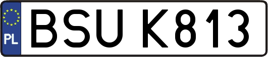BSUK813
